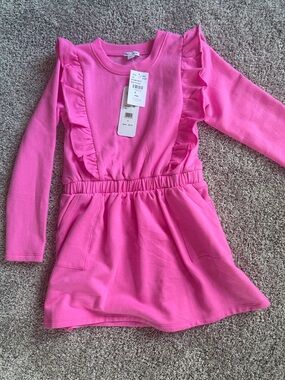 Splendid Pink Ruffle Long Sleeve Casual Dress for Girls
